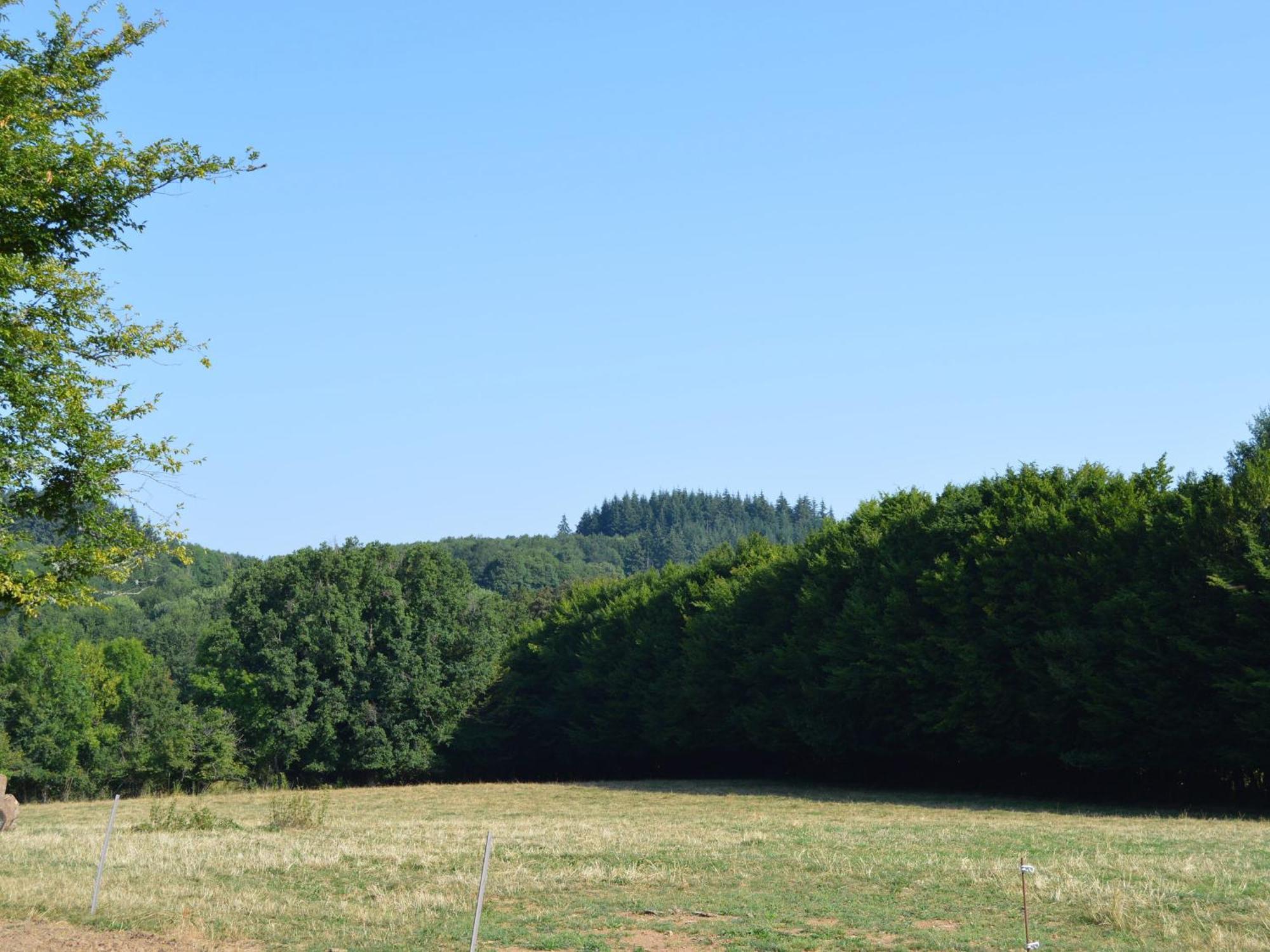 Grande Ferme Renovee Avec Jardin Et Loisirs A Proximite - Fr-1-591-155 Villa Pouligny-Notre-Dame Exterior photo