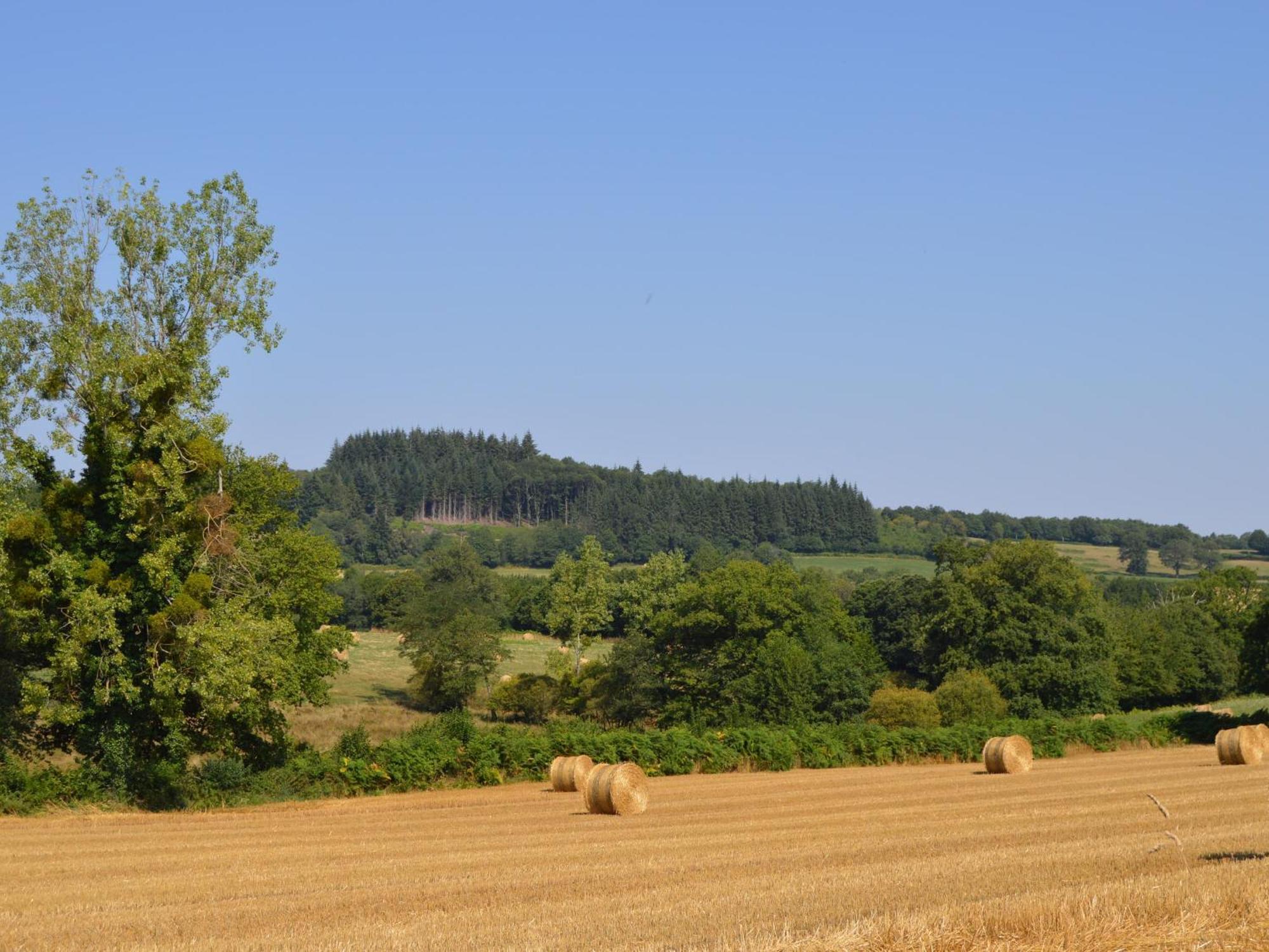 Grande Ferme Renovee Avec Jardin Et Loisirs A Proximite - Fr-1-591-155 Villa Pouligny-Notre-Dame Exterior photo